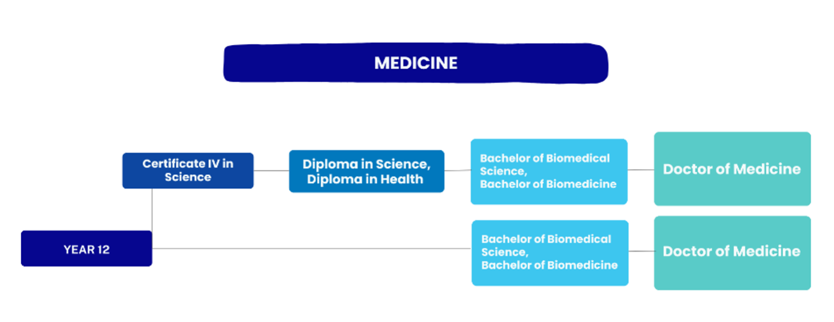 pathway flow for medicine: year 12 to certificate IV to diploma to bachelor to doctor